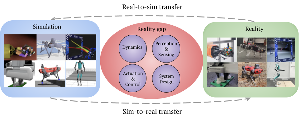 Sources of the Reality Gap